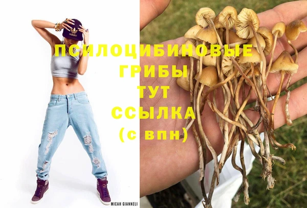 молекула духа Балахна