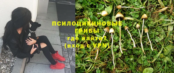 гидра Балабаново