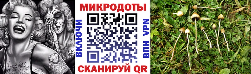 Купить Кушва Псилоцибиновые грибы ЛСД
